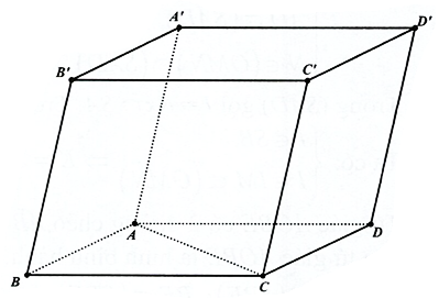 Hình minh họa câu hỏi